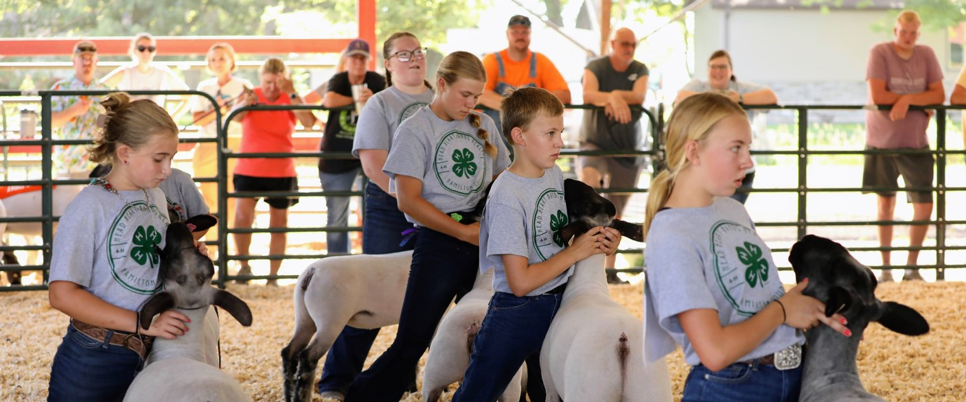 2024 Hamilton County Fair Nebraska Extension